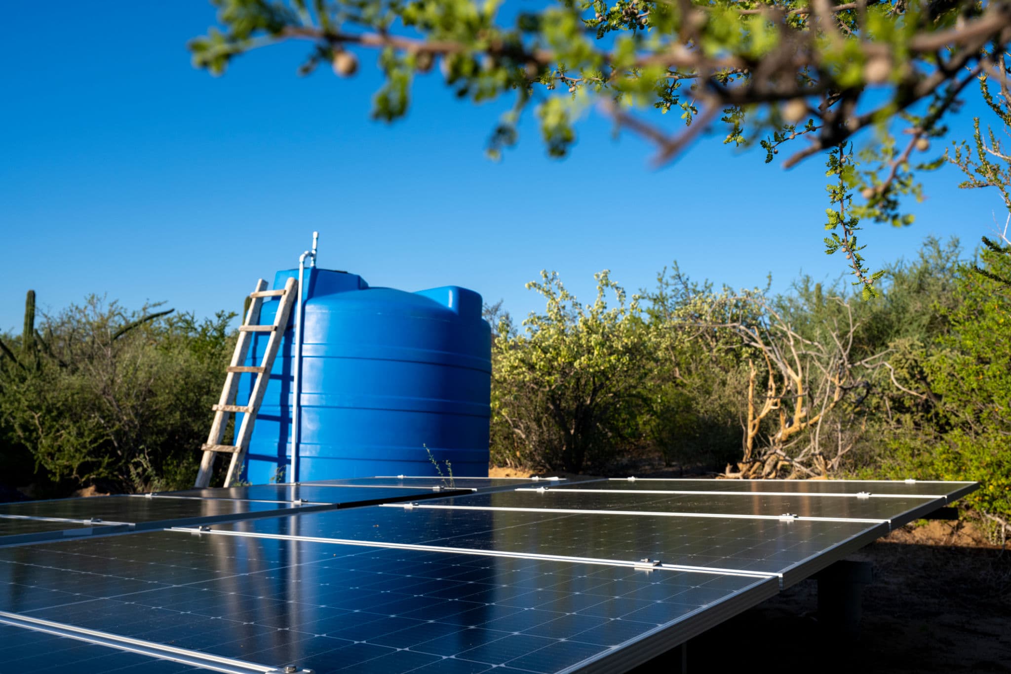 Solution d'Irrigation Solaire